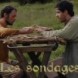 Sondage
