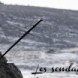 Nouveau Sondage